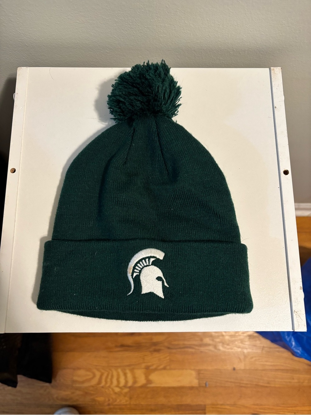 Michigan State Green Pom Beanie